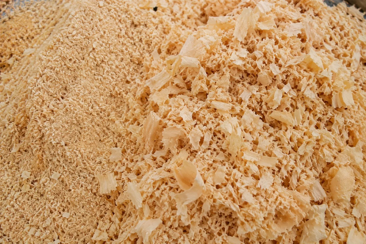 Viruta y aserrín de madera